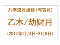 2019年八字丙寅月运势：乙木/劫财月 - 和炁风水堂