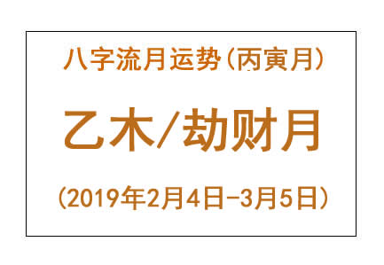 2019年八字丙寅月运势：乙木/劫财月(图1)