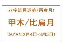 2019年八字丙寅月运势：甲木/比肩月 - 和炁风水堂