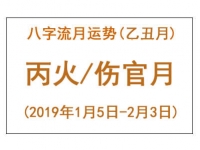 2019年八字乙丑月运势：丙火/伤官月 - 和炁风水堂