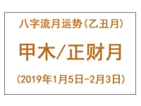 2019年八字乙丑月运势：甲木/正财月 - 和炁风水堂
