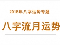 [专题]2019年八字流月运势 - 和炁风水堂