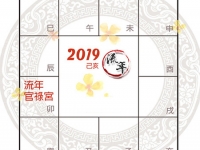 2019年紫微斗数看流年事业运 - 和炁风水堂