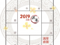 紫微斗数看2019己亥年运势 - 和炁风水堂