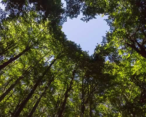男朋友吃醋了要分手怎么挽回？ - 恋知心殿堂