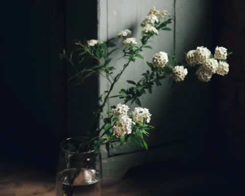 对方说不爱了，我们之间不可能了，是否还能挽回？ - 恋知心殿堂