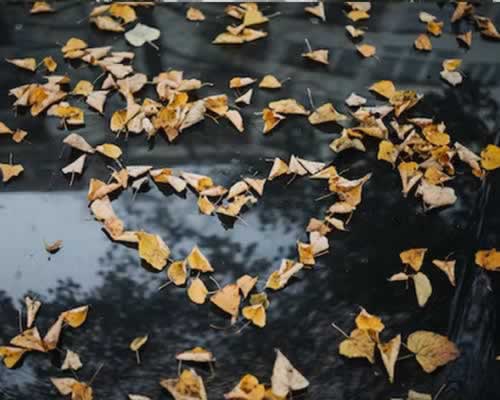 遭遇背叛后，既不想离婚，又不想修复感情，我该怎么办？(图1)