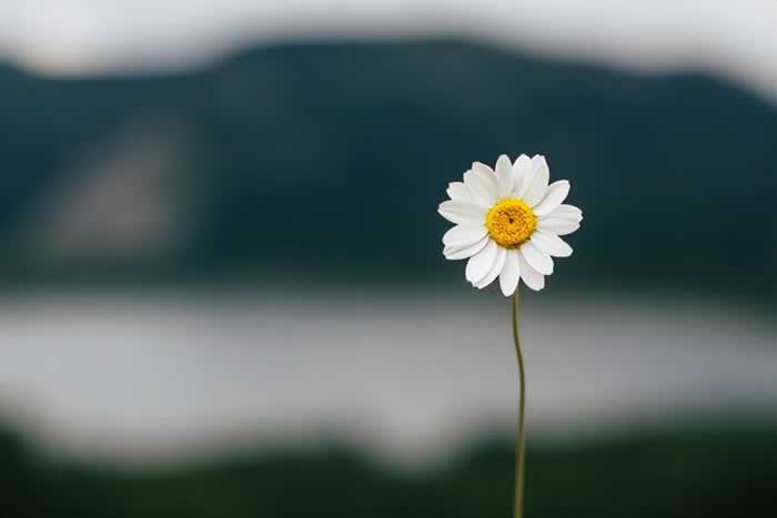 如何远离低质量的“爱”？(图5)