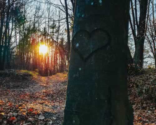 为什么突然就想离婚了？ - 恋知心殿堂