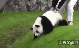 分手求复合，前男友说“不知道喜欢什么样的女生”？(图6)