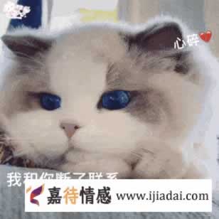 女同分手应该怎样挽回？(图4)