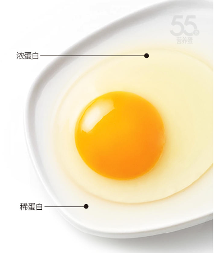 沈师傅55g营养蛋,新鲜才会更营养! 沈师傅55g营养蛋,新鲜才会更营养!