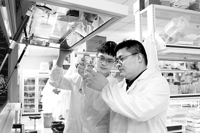 江南大学食品合成生物学与生物制造团队:以“细胞工厂”探寻食品未来 江南大学食品合成生物学与生物制造团队:以“细胞工厂”探寻食品未来