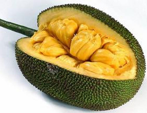 菠萝蜜