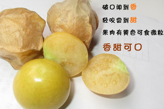 姑娘果
