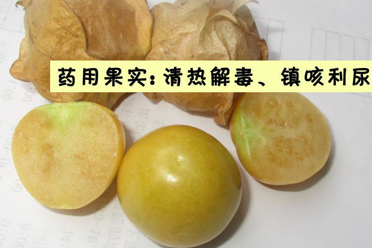 姑娘果