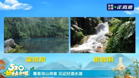 520中国劲酒携手撒贝宁直播探厂，共同见证健康跑活动启幕