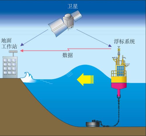帝王蟹:海中巨人的奥秘 帝王蟹:海中巨人的奥秘
