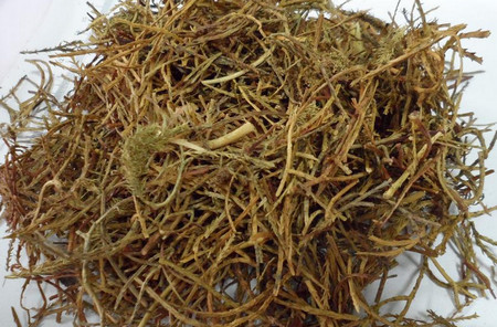 伸筋草