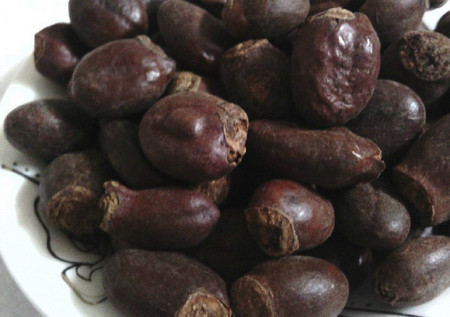 荔枝核