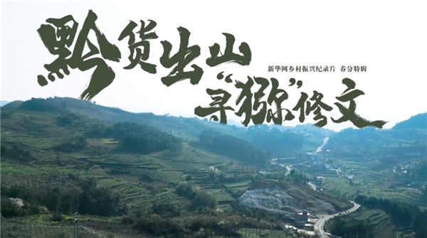 安慕希“产地直采”系列再添渠道定制新品，以地域营销领跑酸奶新赛道