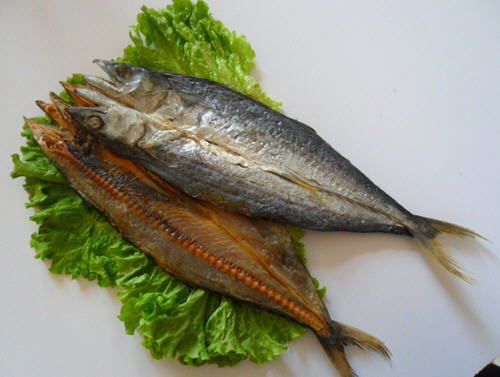 鲅鱼