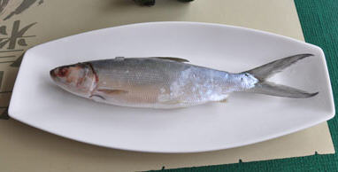 虱目鱼