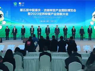 布局未来榨菜、轻盐健康升级，乌江榨菜引领涪陵榨菜产业创新发展