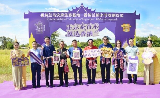 正宗泰香米，就选香纳兰！益海嘉里携手乌汶府官方为新米节开镰！