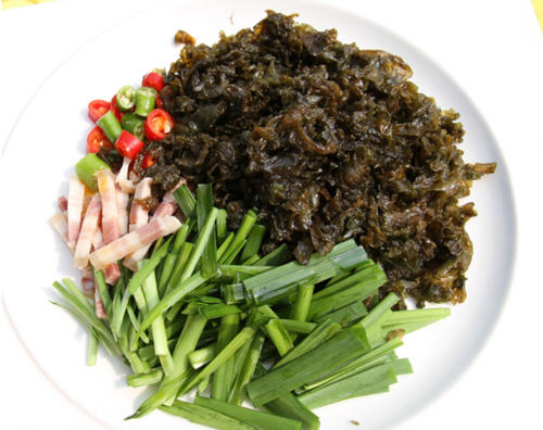 地皮菜 地皮菜