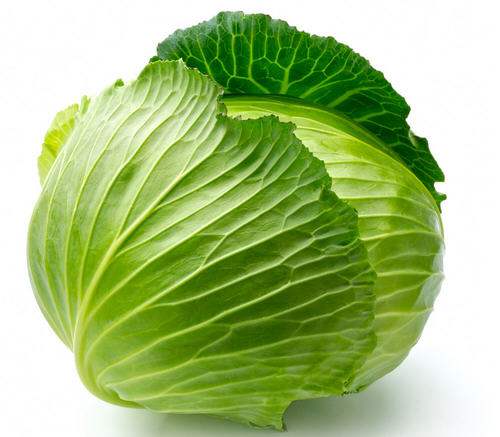 包菜