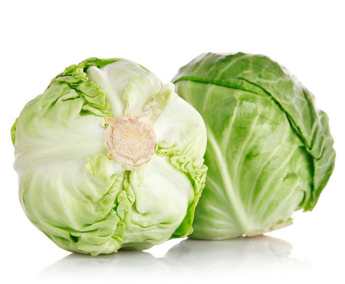 包菜