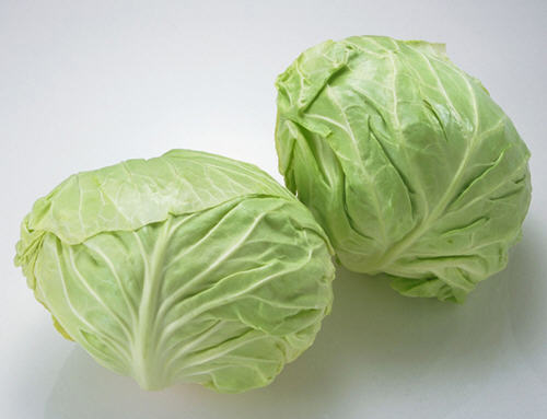 包菜