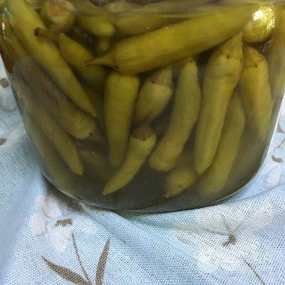 泡椒的做法4 泡椒的做法4
