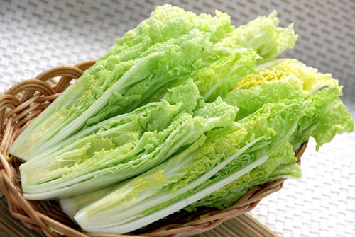 娃娃菜 娃娃菜