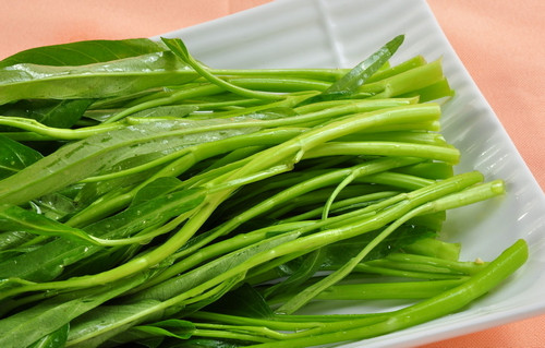 空心菜 空心菜