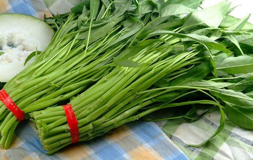 空心菜 空心菜