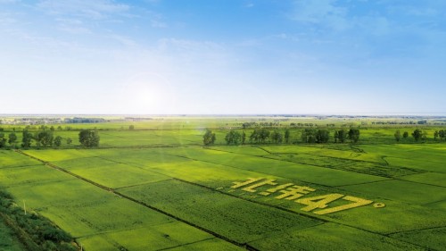 玉米成更健康的主食替代?明星都爱吃的北纬47°鲜食玉米魅力在哪? 玉米成更健康的主食替代?明星都爱吃的北纬47°鲜食玉米魅力在哪?