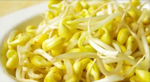 黄豆芽
