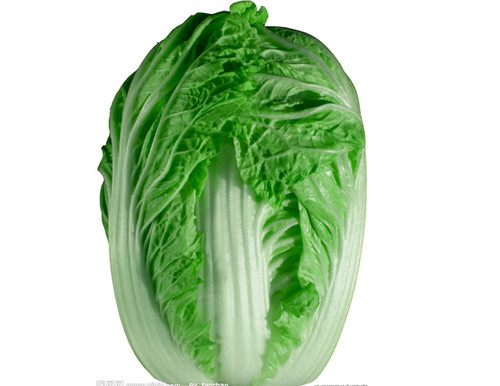 大白菜 大白菜