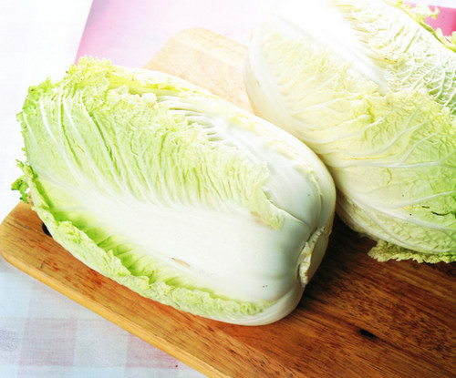 大白菜 大白菜