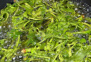 春椿泡油做法