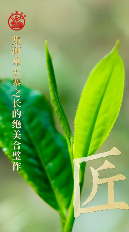 八角亭2022年九鼎珍藏·班章五寨重磅上市