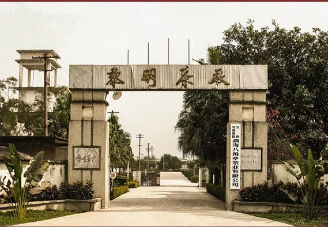 八角亭2022年九鼎珍藏·班章五寨重磅上市
