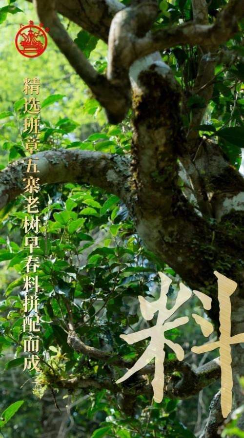 八角亭2022年九鼎珍藏·班章五寨重磅上市