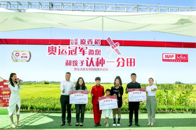 金龙鱼五常基地原香稻为正宗五常大米“代言”