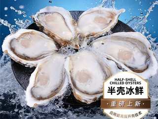 生蚝爱好者必入！京东首发贝司令冰鲜半壳生蚝，品质稳定如开“保障盲盒”