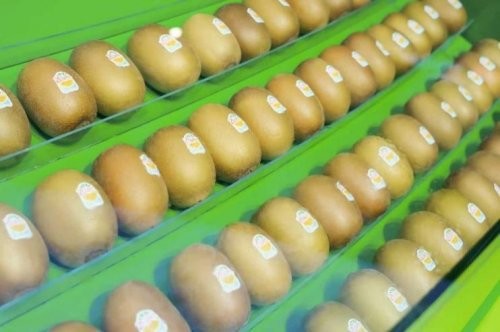 佳沛再赴进博之约，以天然营养共筑健康未来