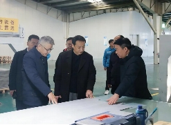 汤阴县县委副书记、县长胡玮一行到海螺新材考察交流(图1)