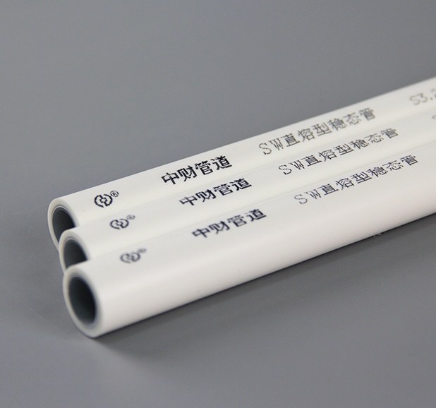 中财SW稳态管(图2)
